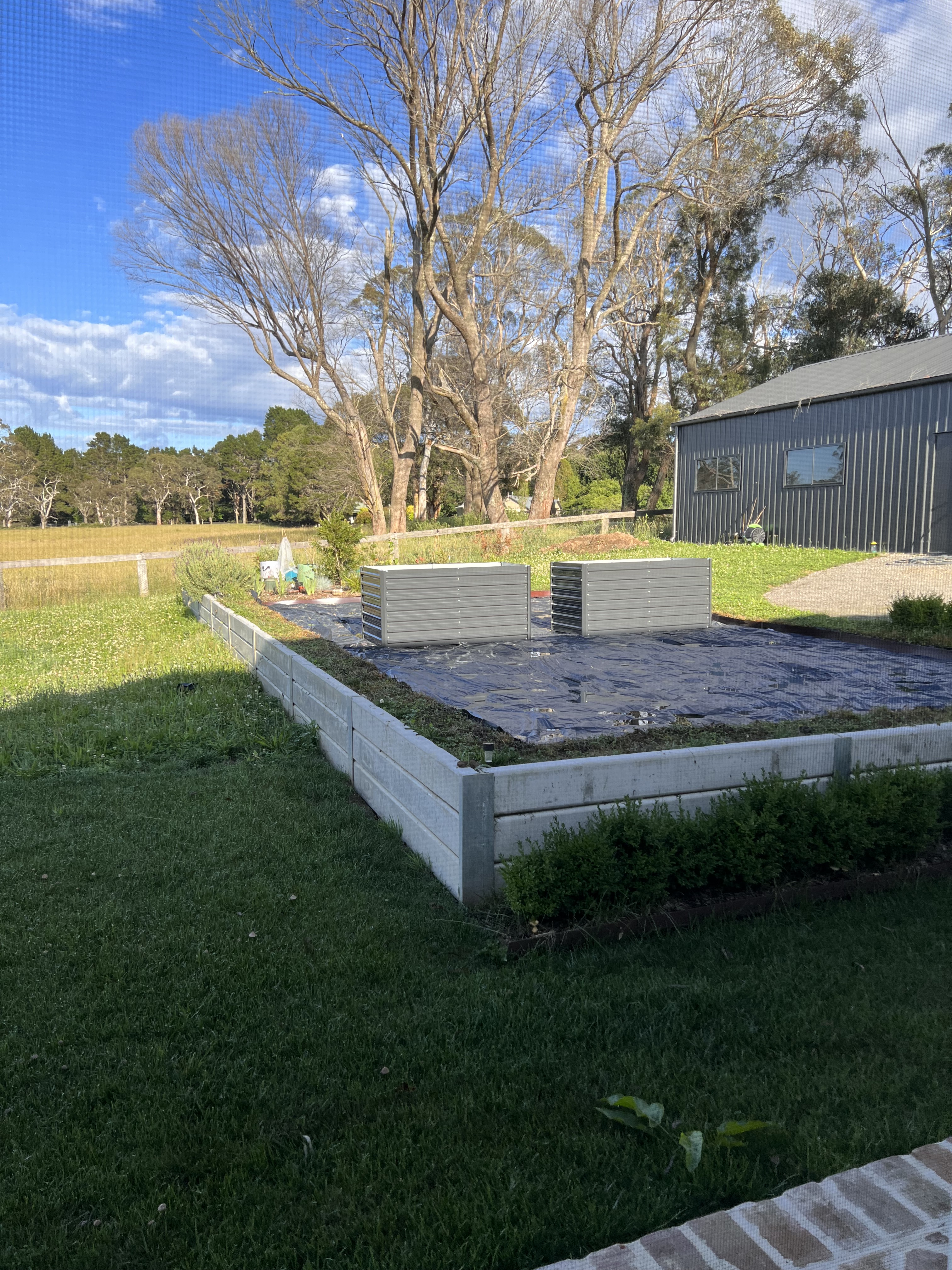 Starting a kitchen Garden – Australia