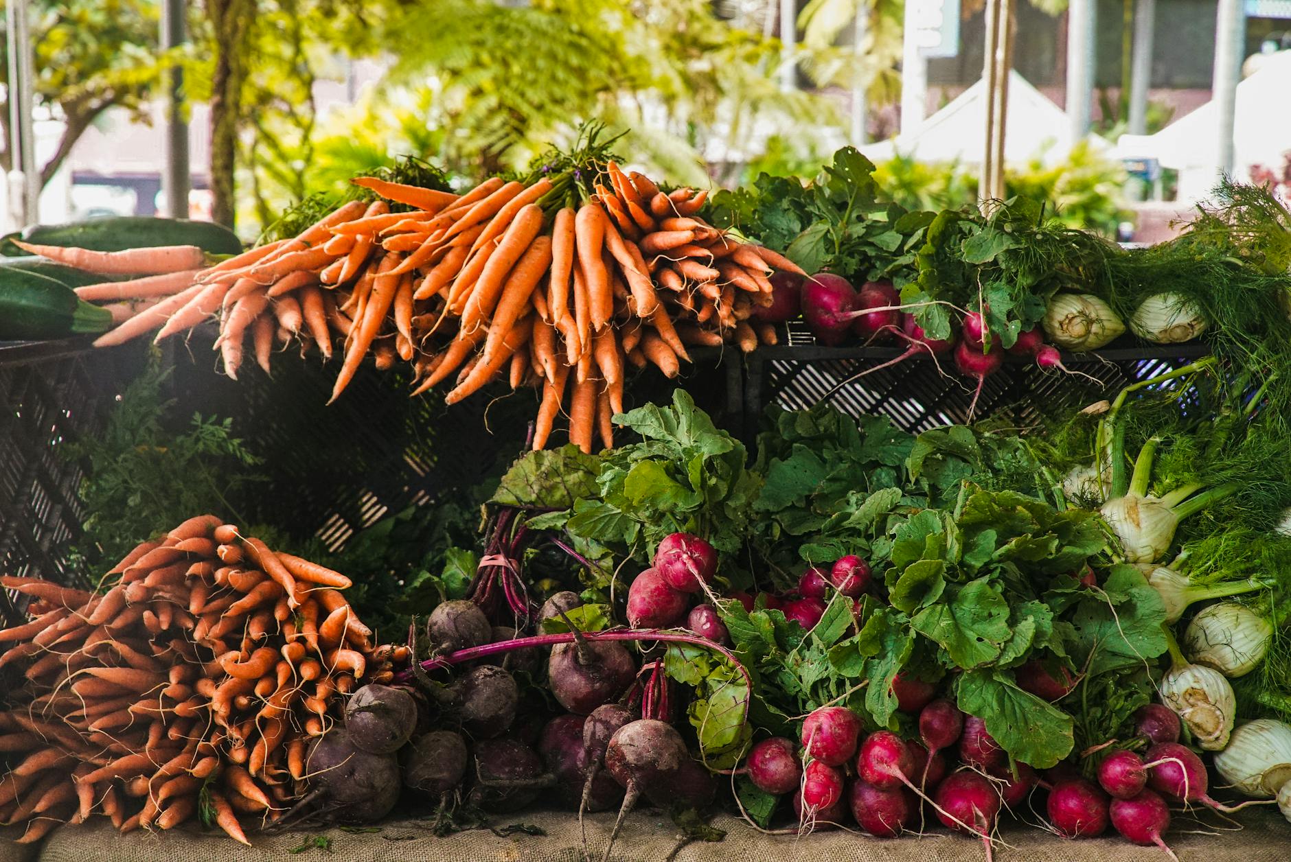 The Health Benefits of Eating Seasonally