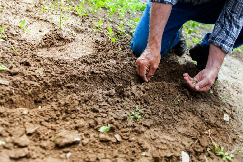 Planting for the Season: A Guide to Sowing Vegetable Seeds at the Right Time