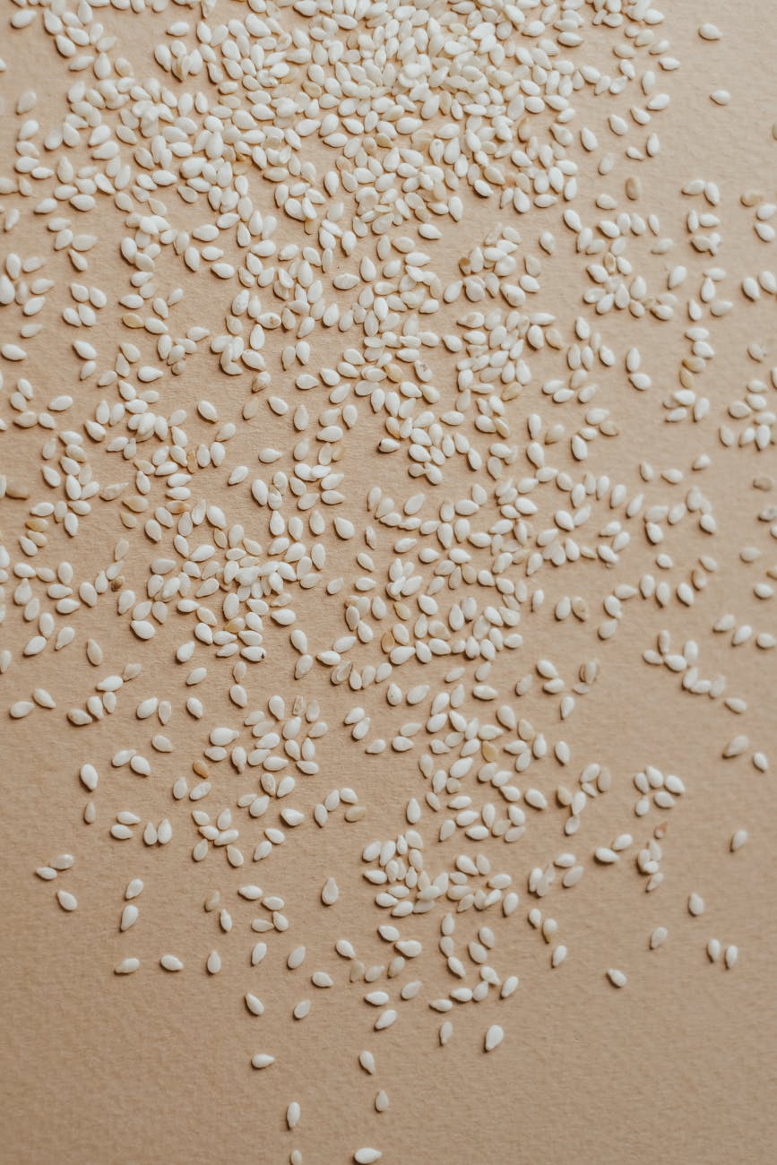 The Health Benefits of Seeds: Spotlight on Sesame Seeds