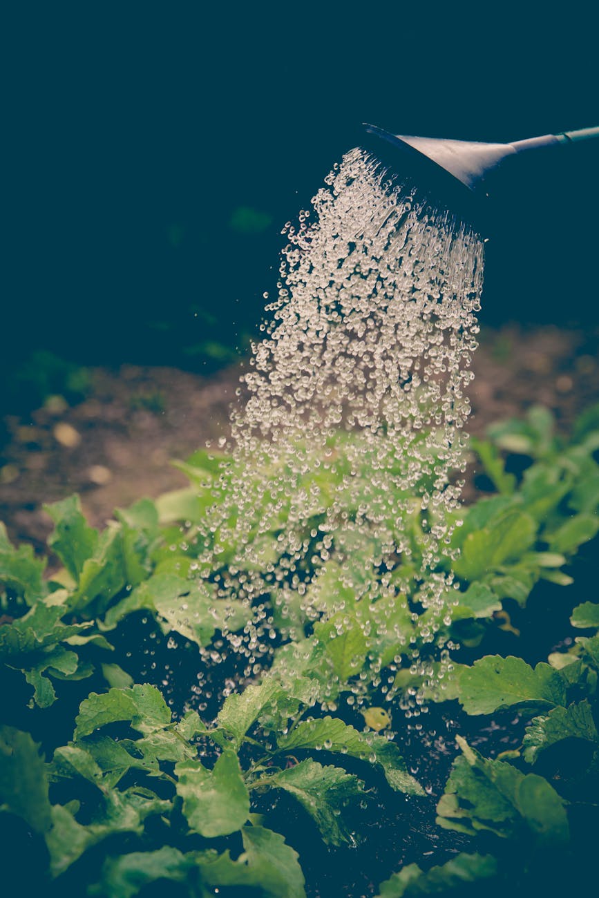 Avoiding Common Garden Fails: Tips for a Thriving Garden