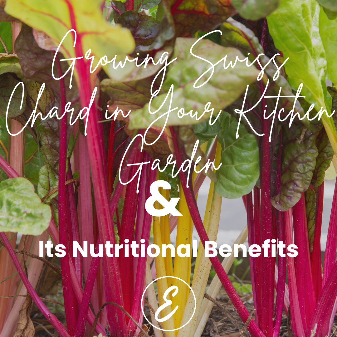 Growing Swiss Chard in Your Kitchen Garden and Its Nutritional Benefits