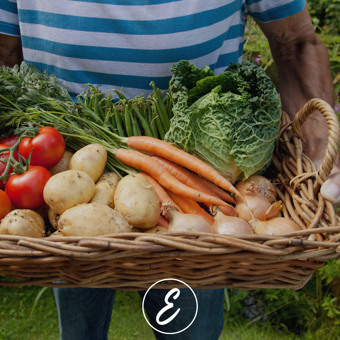 The Health Benefits of Growing Your Own Food