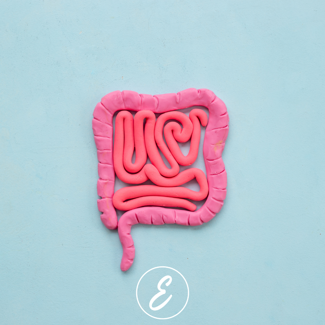 The Consequences of Ignoring Gut Health Issues in Adults