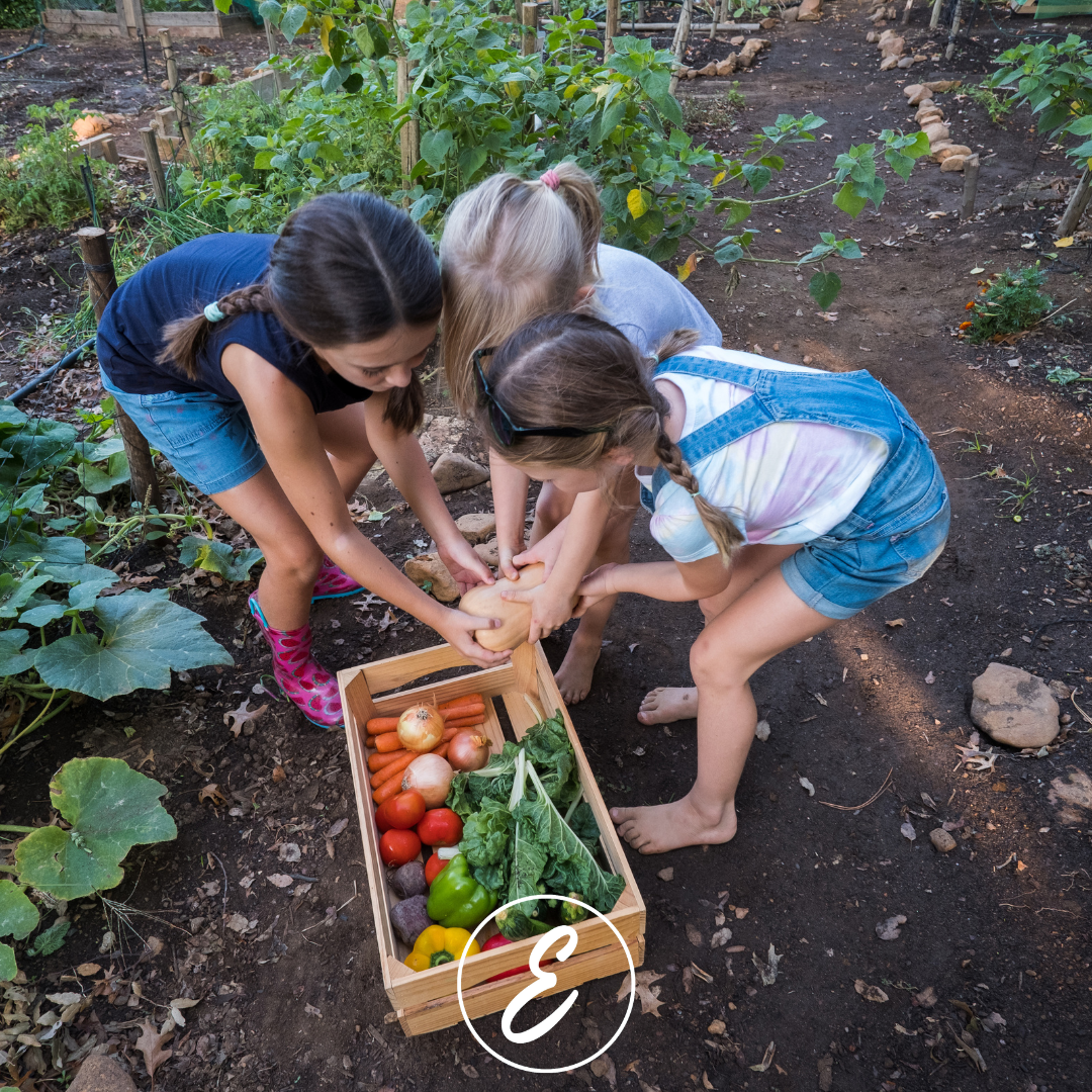 Homesteading in the Modern World: An Australian Perspective
