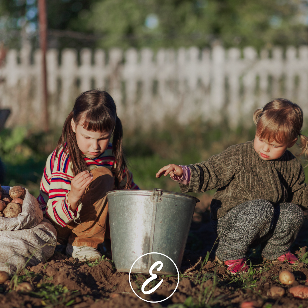 Family Recipes to Make Use of a Summer Kitchen Garden