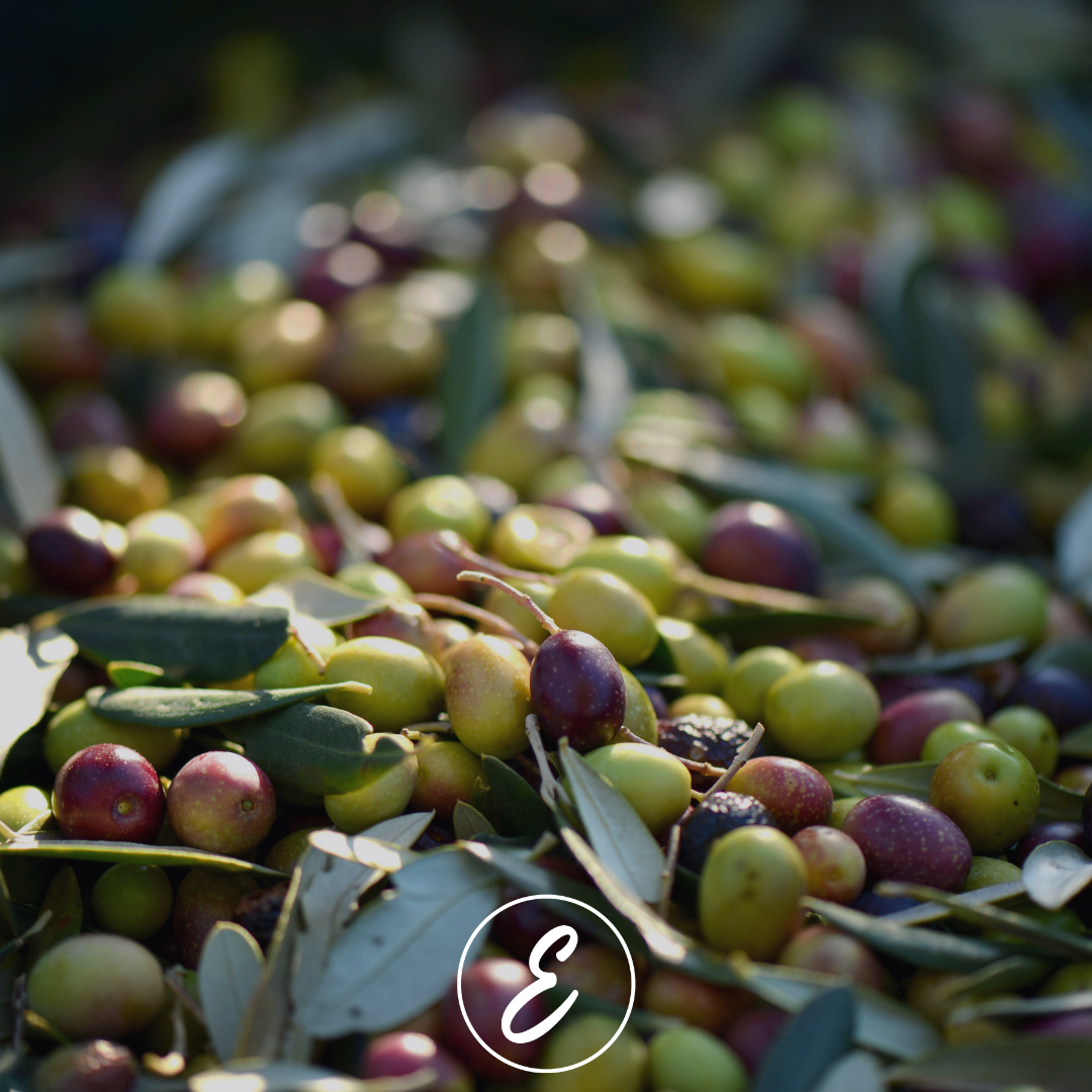 How Olives Boost Your Health and Enhance Meals