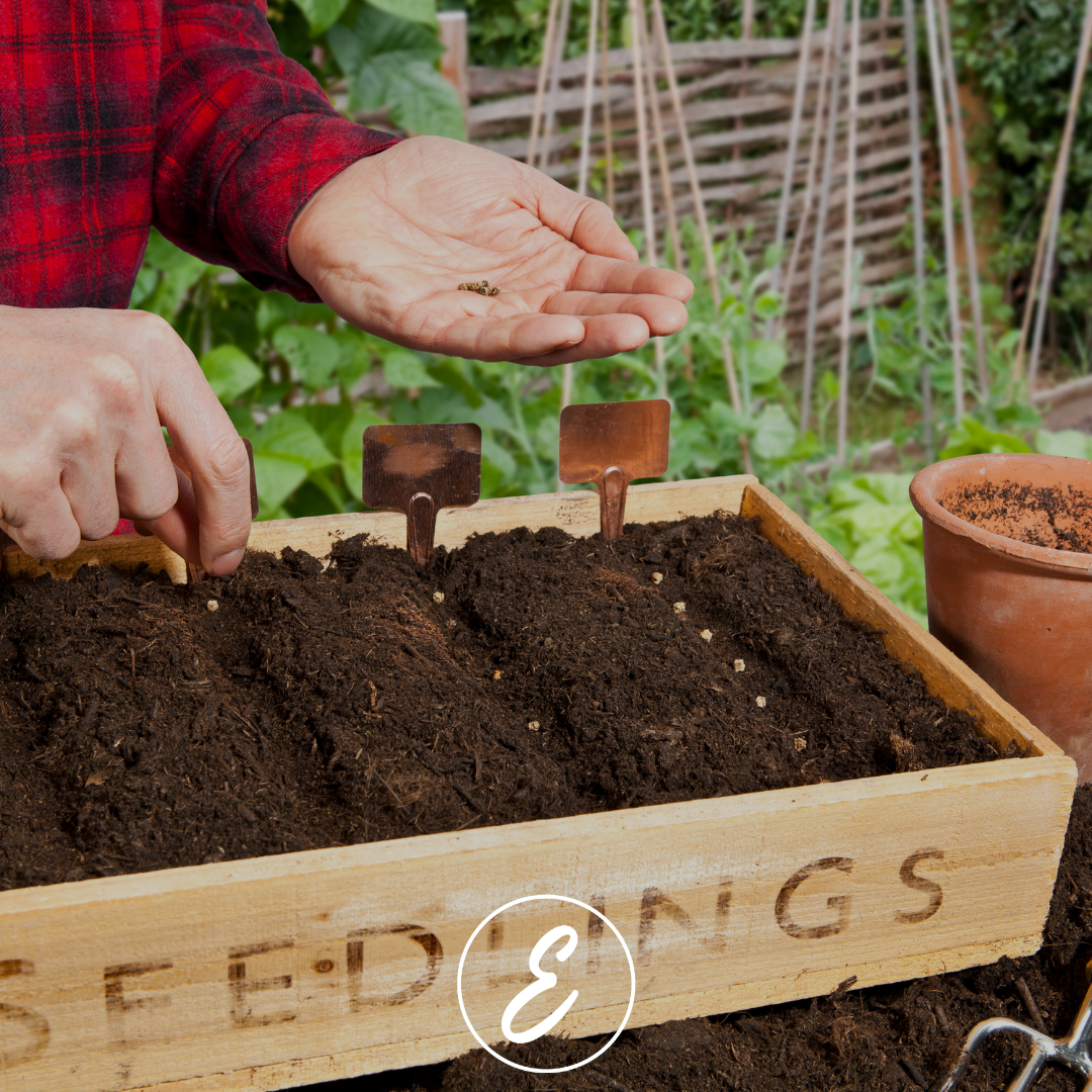 Autumn and Spring: The Gardener’s Busiest Seasons