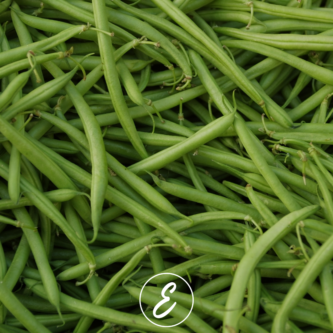 Creative Garden Bean Recipes: Bringing Variety to Your Table