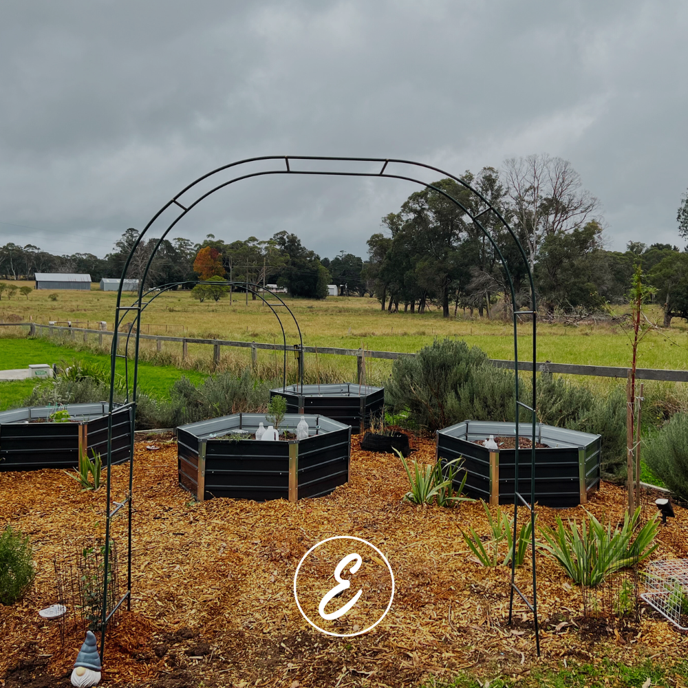 Expanding the Kitchen Garden: 4 New Beds, Big Winter Plans