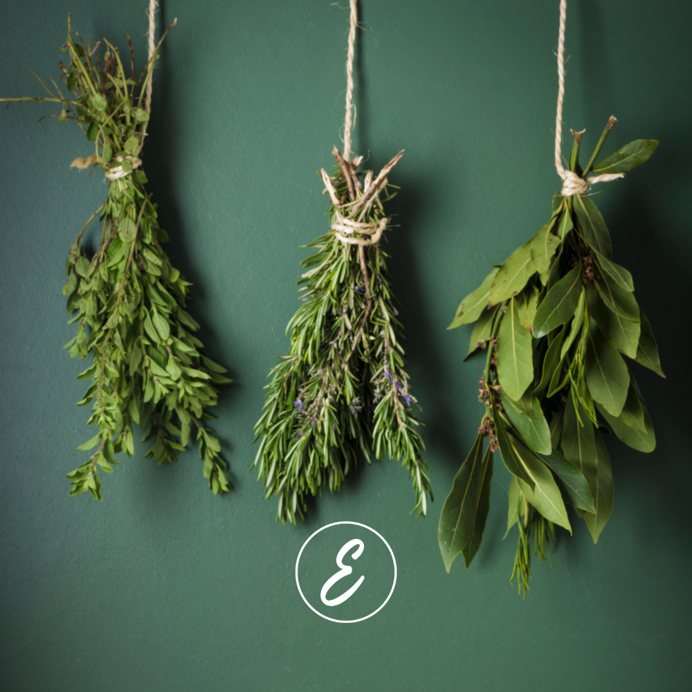 Preserving Herbs: How to Air-Dry Your Garden’s Bounty for Winter