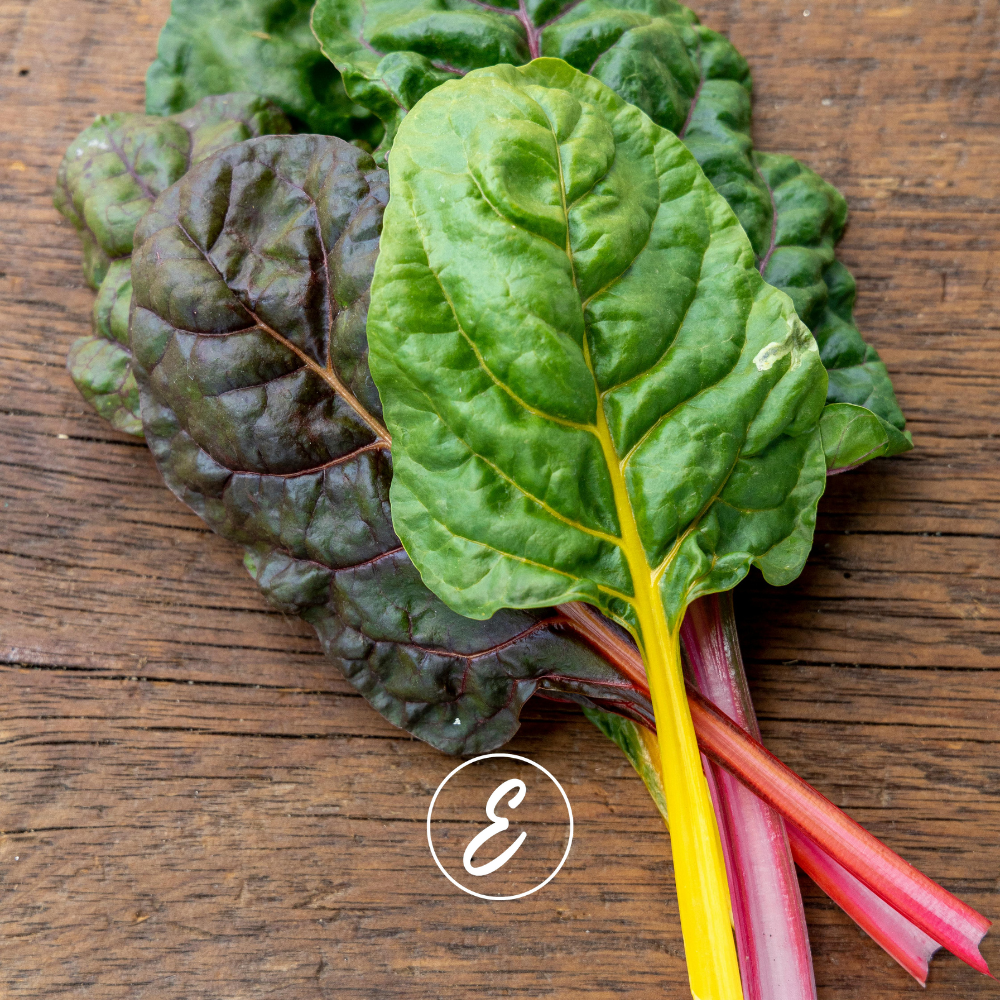 From Garden to Table – How to Use What You Grow