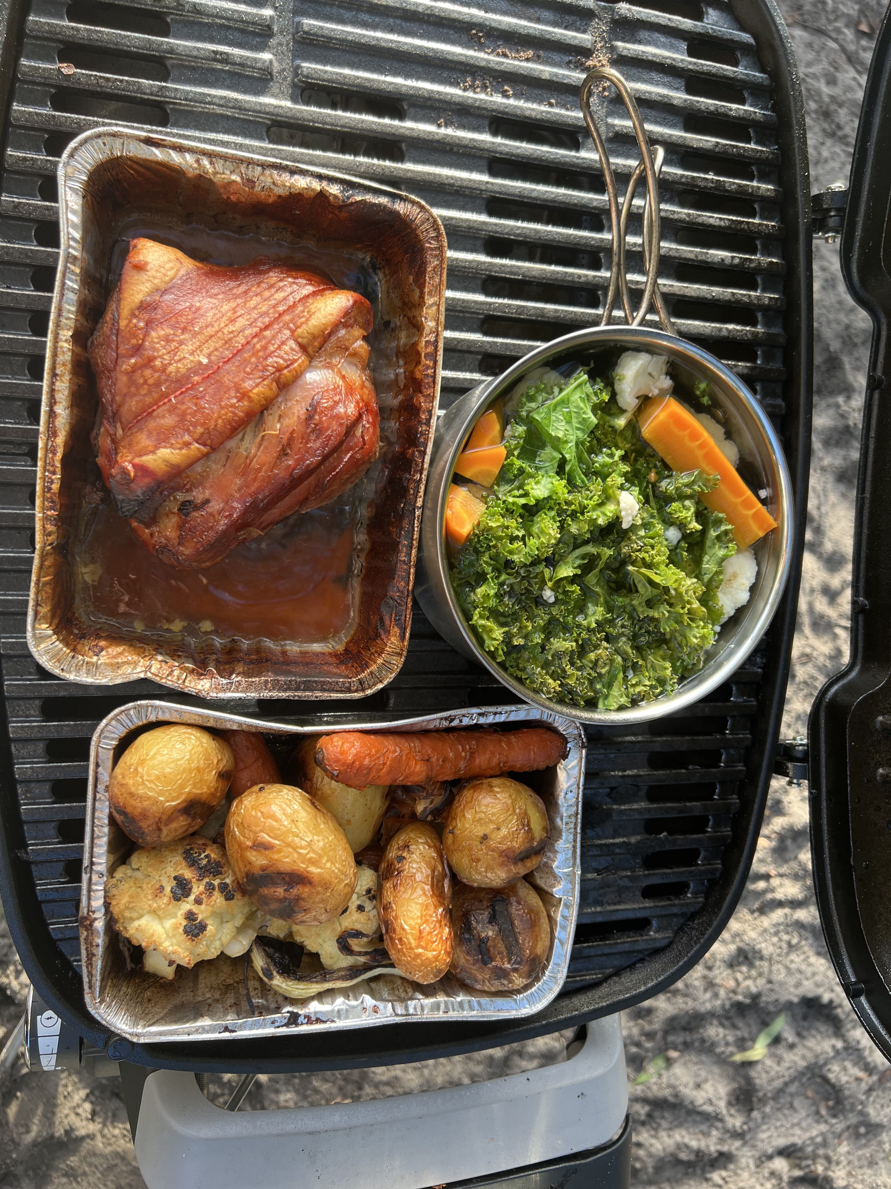 Mrs E On The Road: The Reality of Off-Grid Living — And What Actually Works