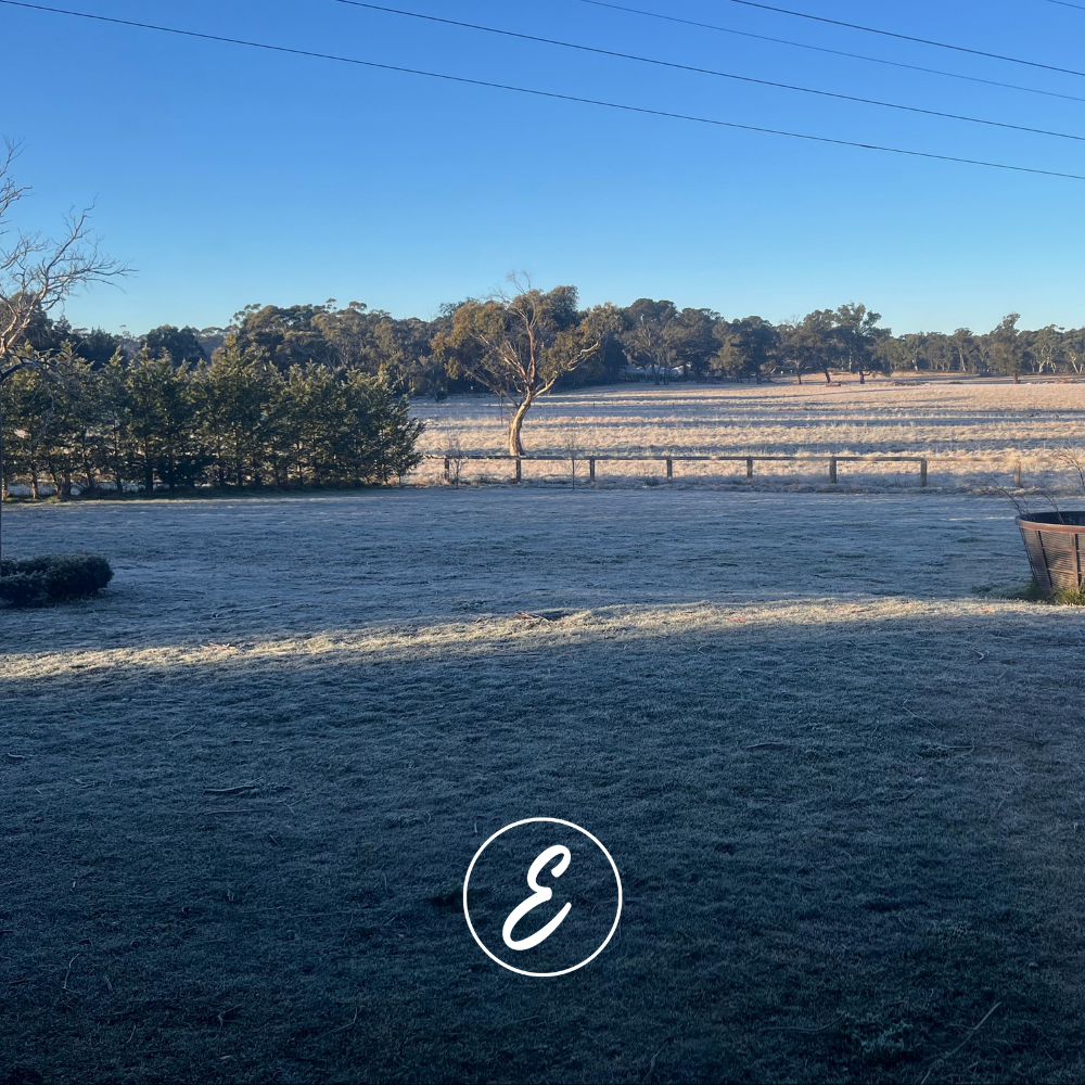 One Month of Winter to Go: What I’m Doing in My Frost-Prone Garden This August
