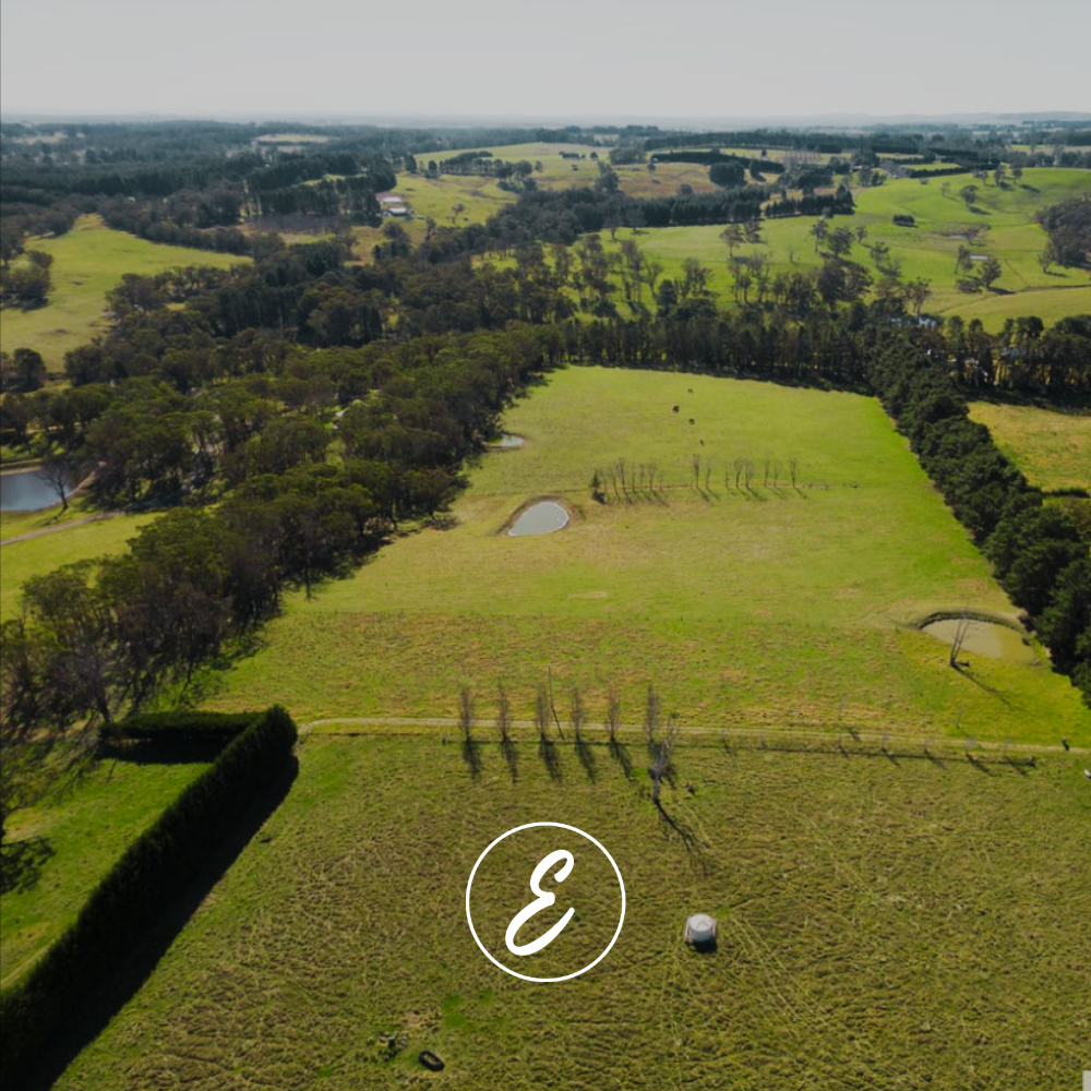 The Estate: Where We’re Starting