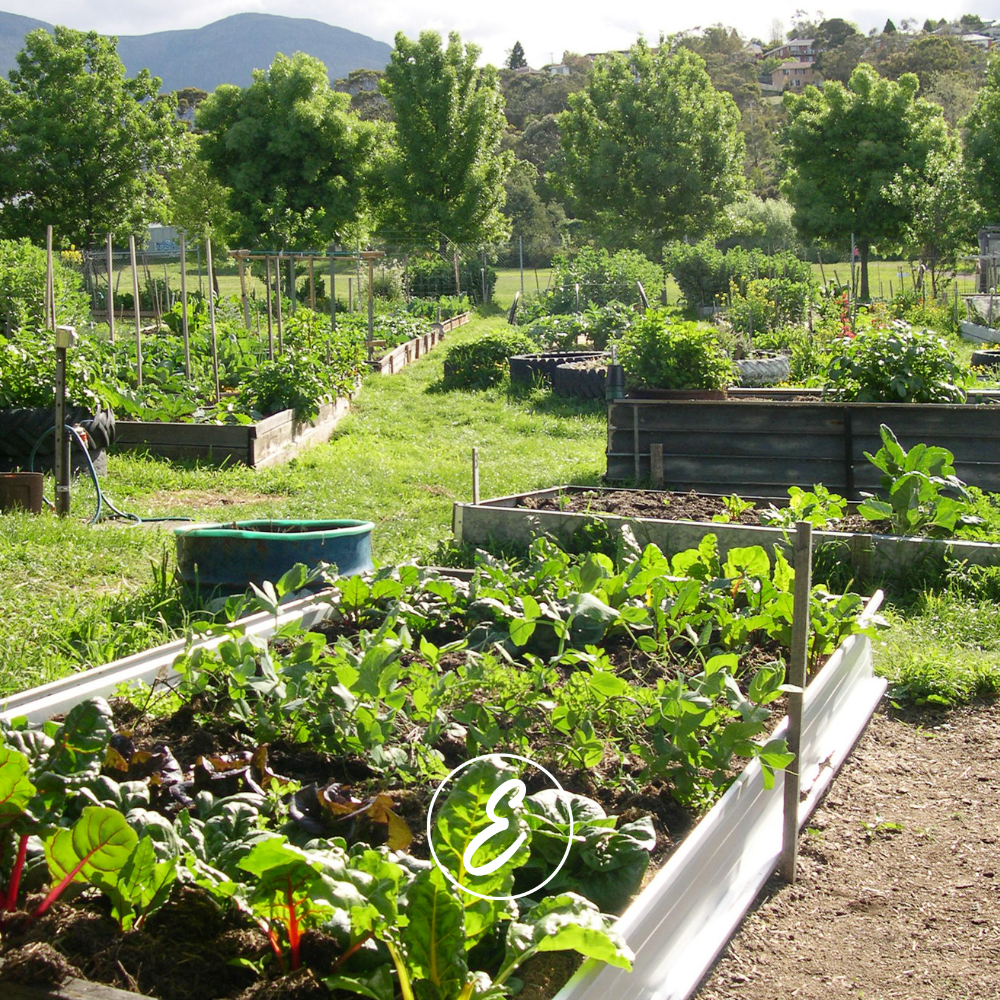 My One-Acre Food Security Plan